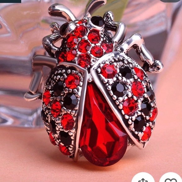 Jewelry - Ladybug brooch